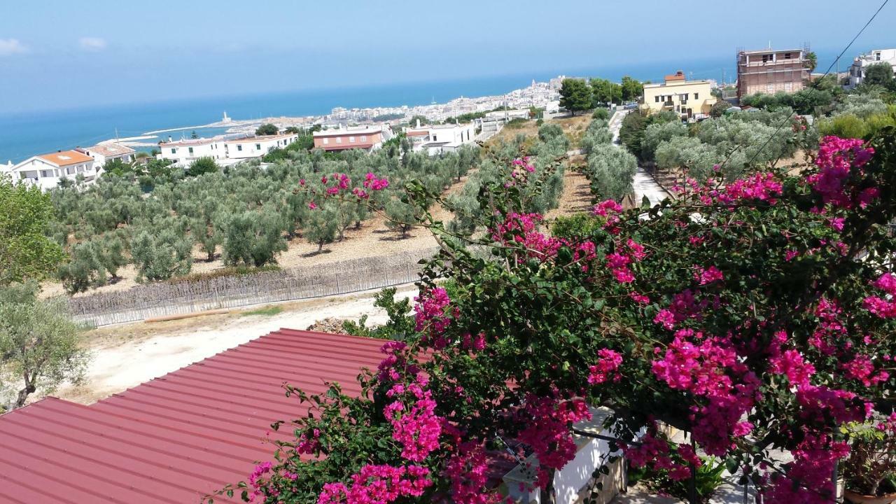 Villa Natura Sea View Vieste Exterior photo